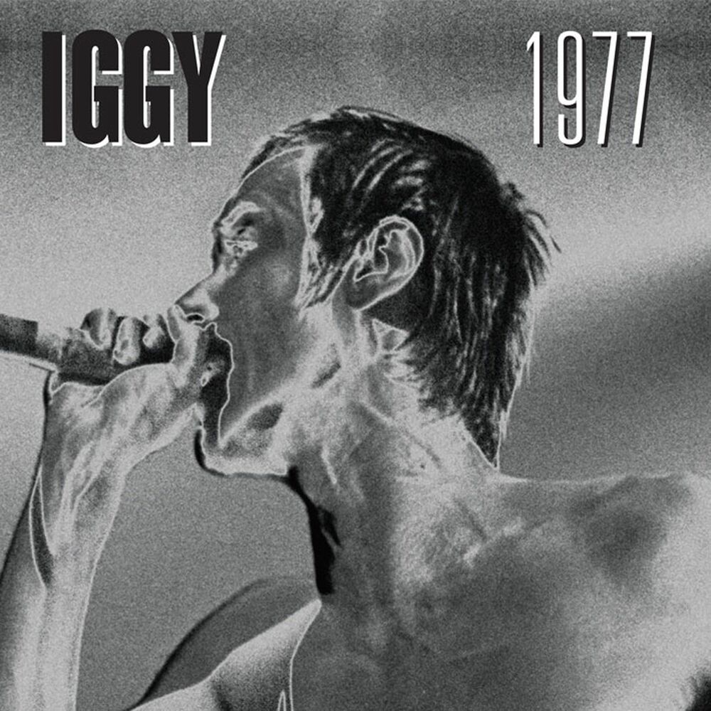Picture of 1977