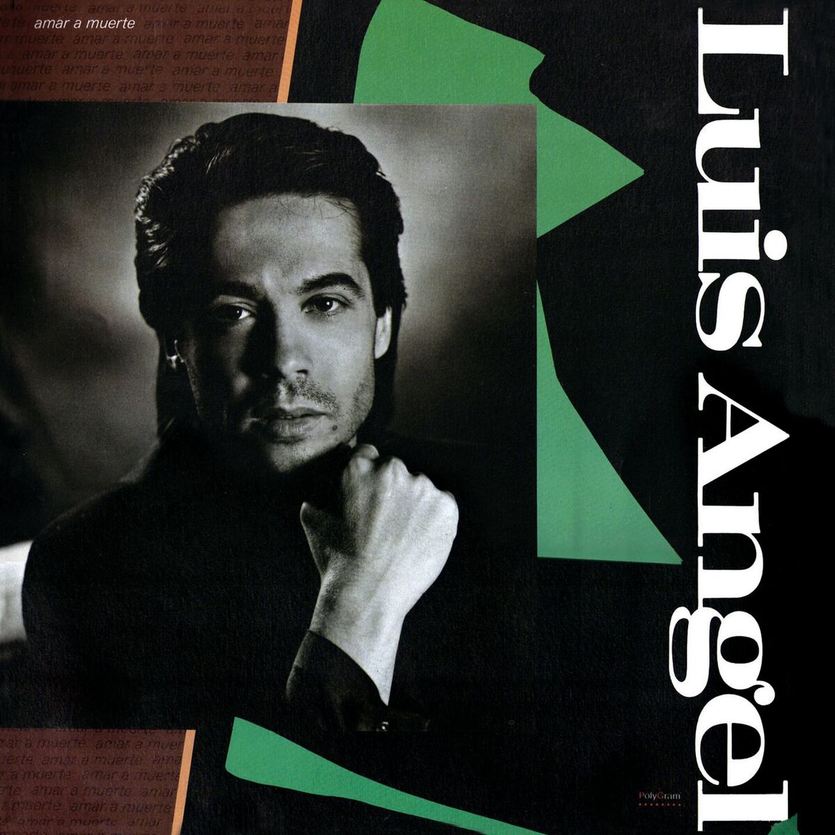 Album cover of Amar A Muerte