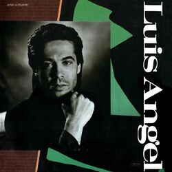 Cover of Amar A Muerte