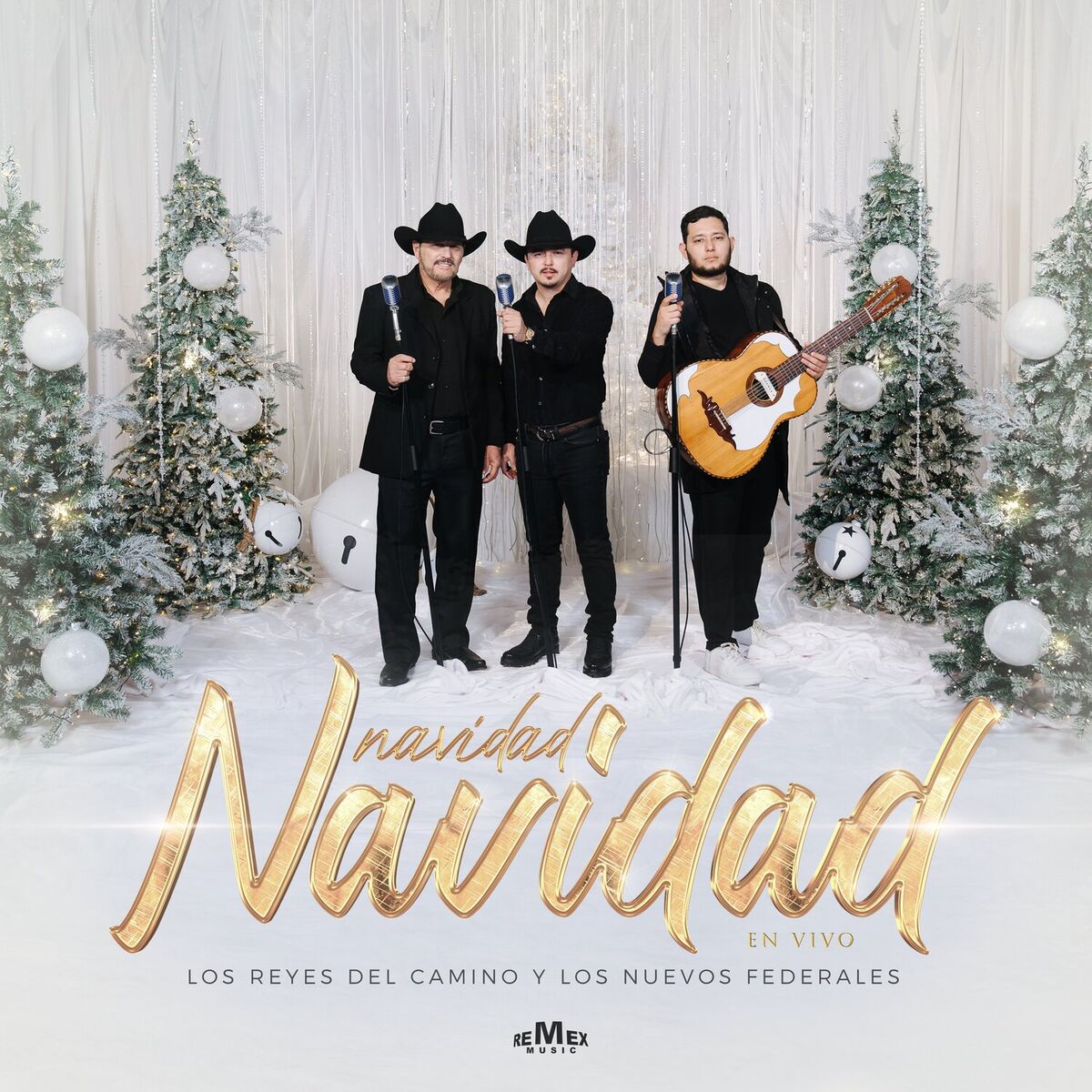 Album cover of Navidad, Navidad (En Vivo)