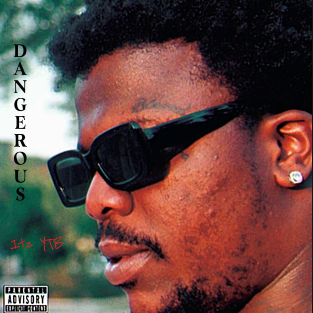 Picture of Dangerous