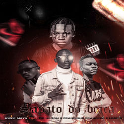 Cover of Sapato do Boica by undefined