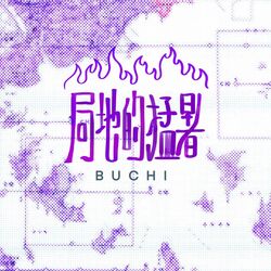Cover of kyokuchitekimousyo