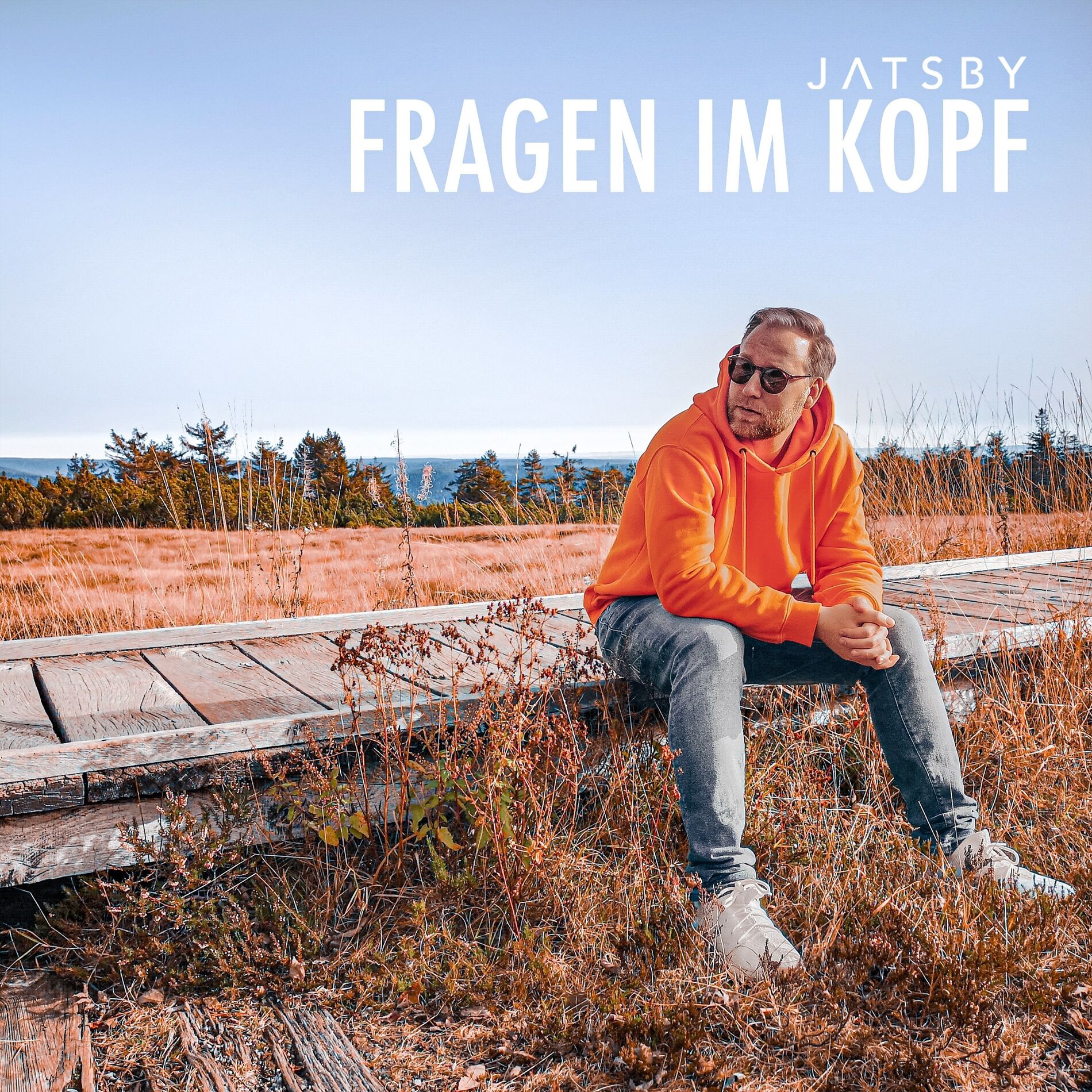 Album cover of Fragen im Kopf