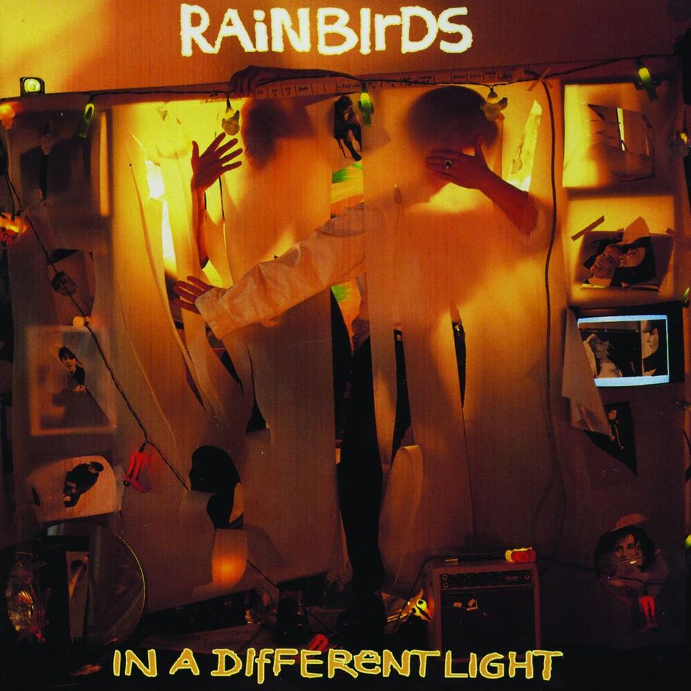 Picture of In A Different Light