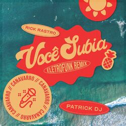 Cover of Você Subia (Eletrofunk Remix)