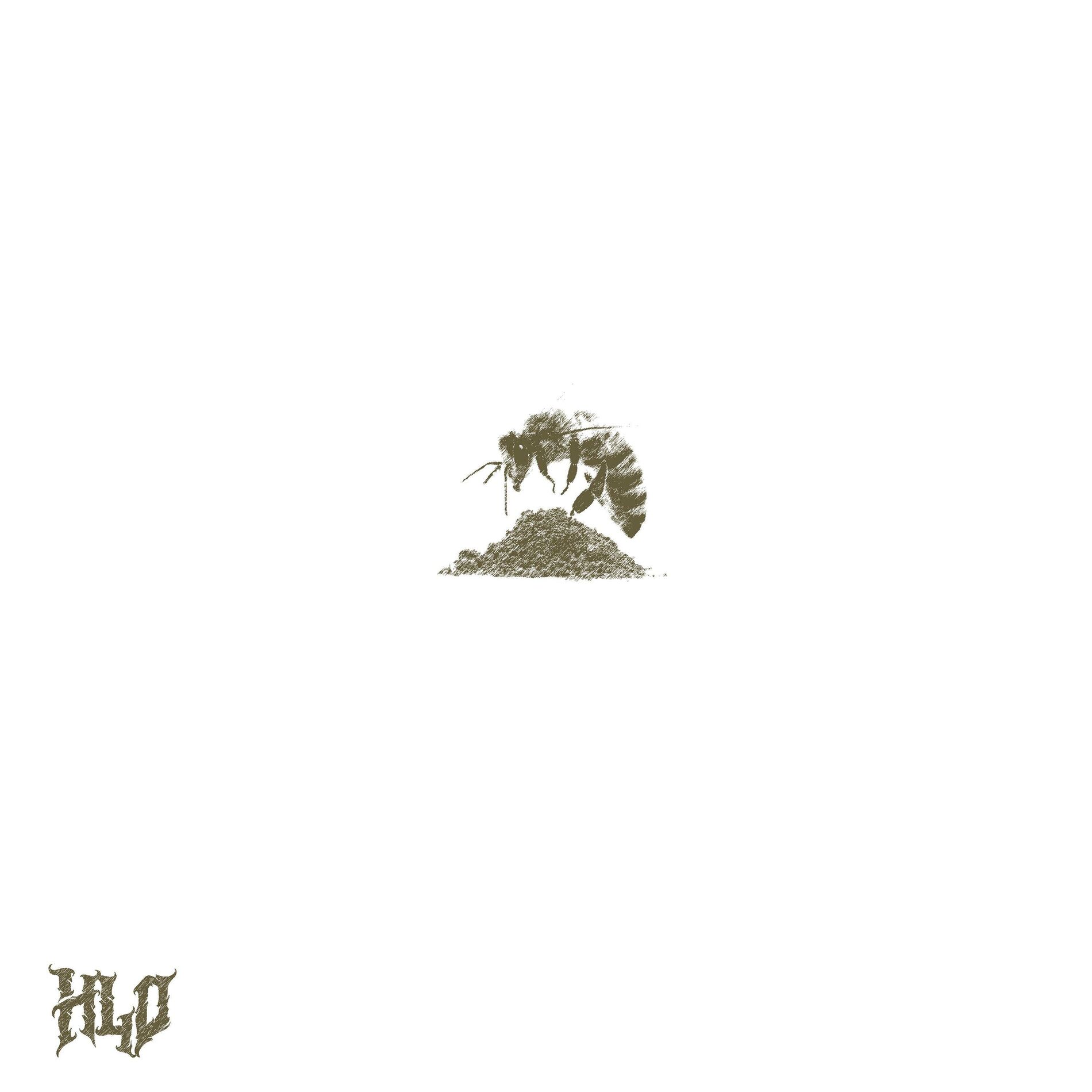 Album cover of POLLEN