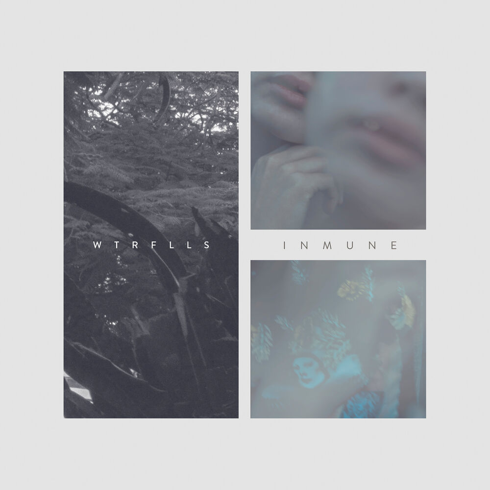 Picture of Inmune