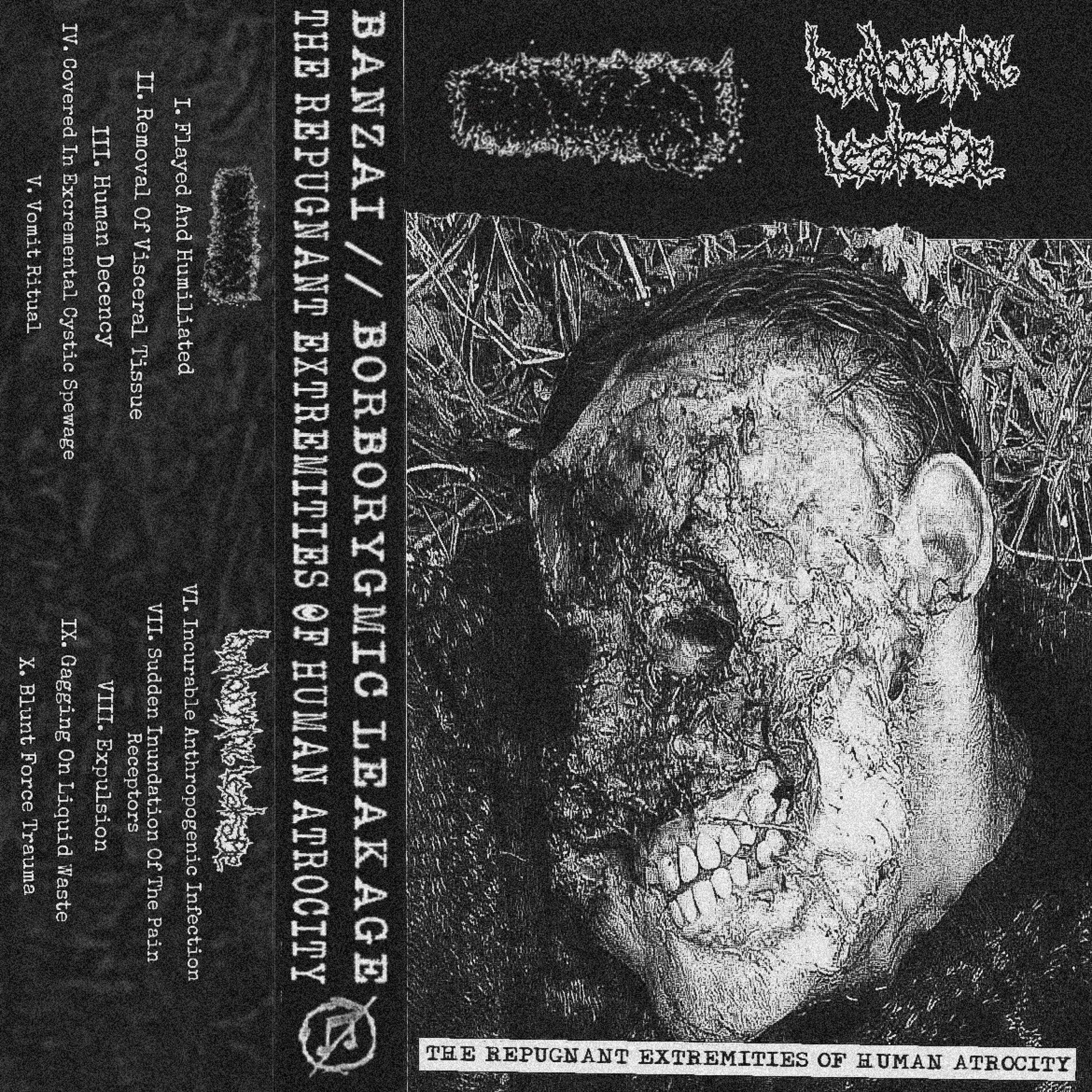 Album cover of THE REPUGNANT EXTREMITIES OF HUMAN ATROCITY (BXBXL SPLIT)