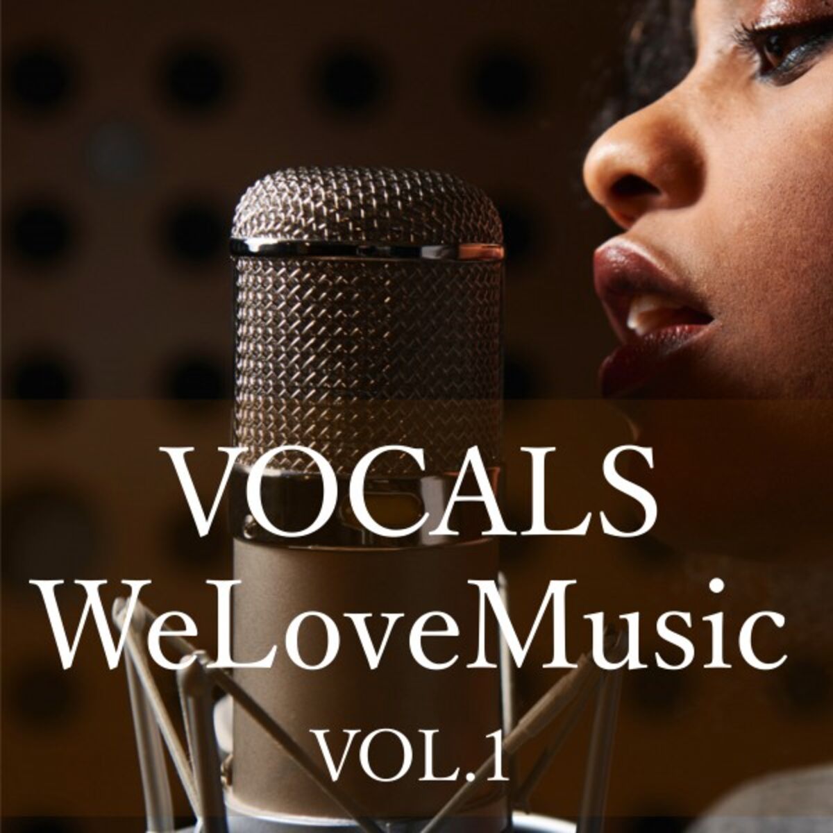 Album cover of Vocals, Vol. 1