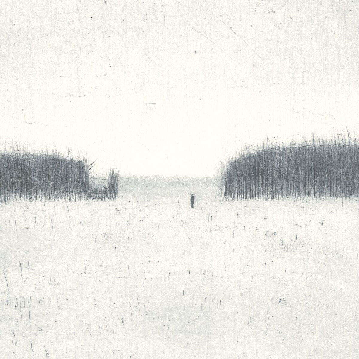 Album cover of Alone in the Light