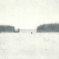Cover of Alone in the Light