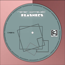Cover of Flashers