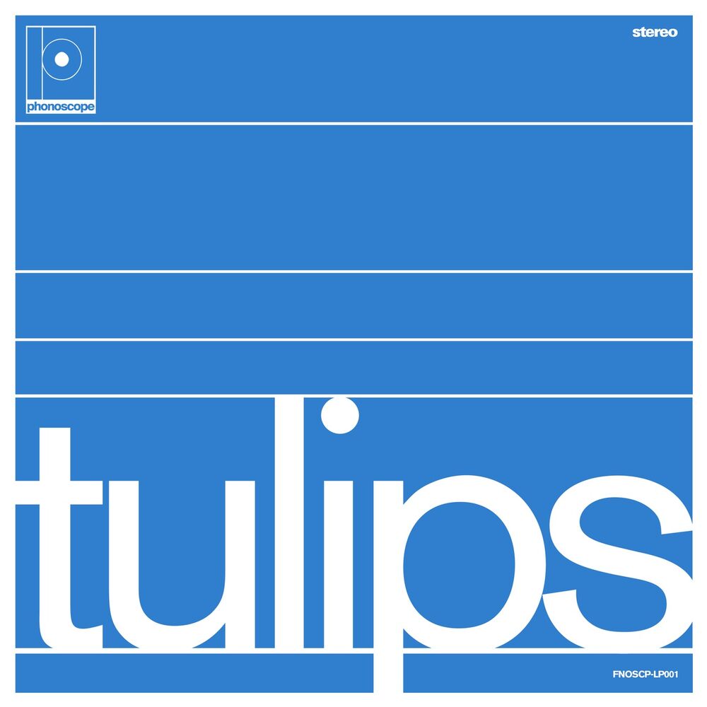 Picture of Tulips