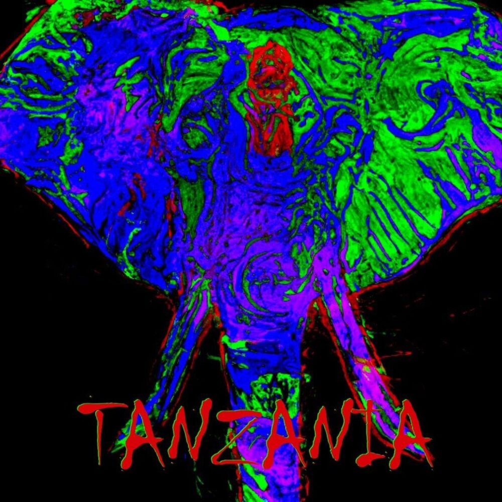 Picture of Tanzania