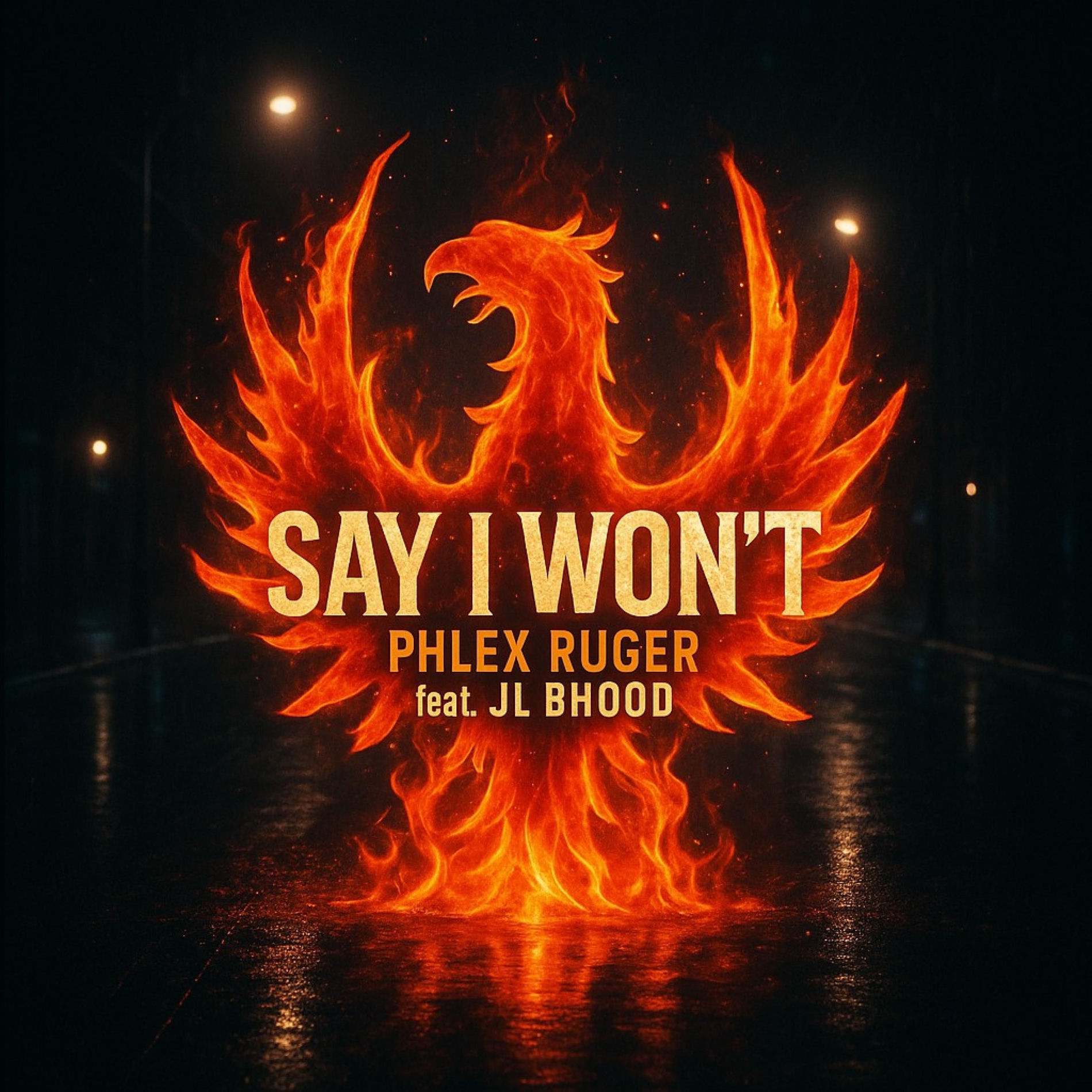 Album cover of Say I Won't (feat. JL)