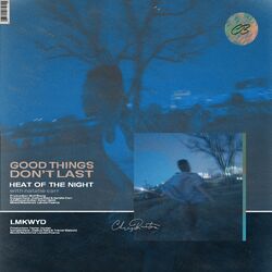 Cover of GOOD THINGS DON'T LAST
