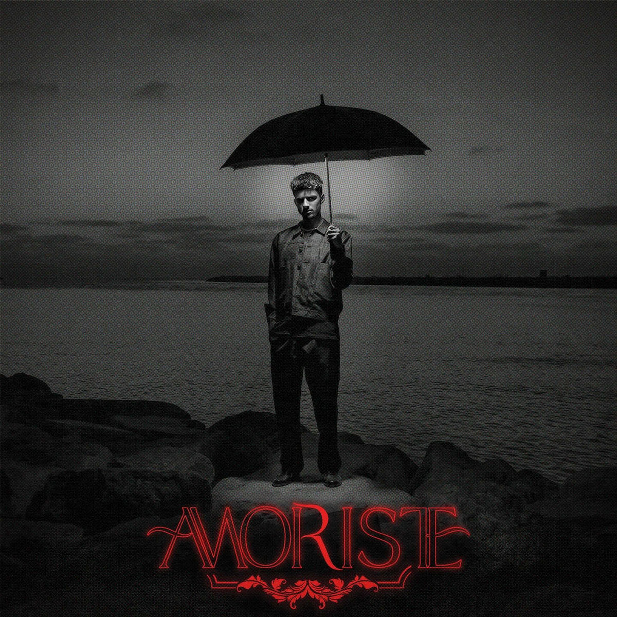 Album cover of Amoriste II