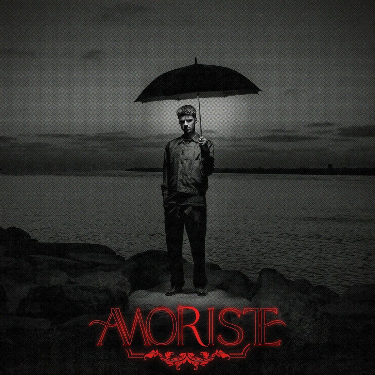 Album cover of Amoriste II