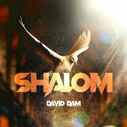Cover of Shalom (Live)