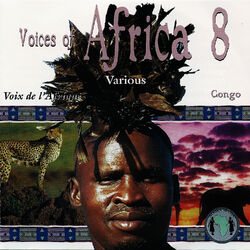 Cover of Voices of Africa - Volume 8