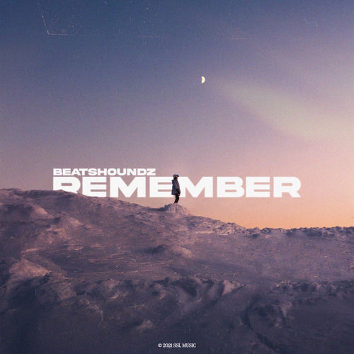 Remember artwork