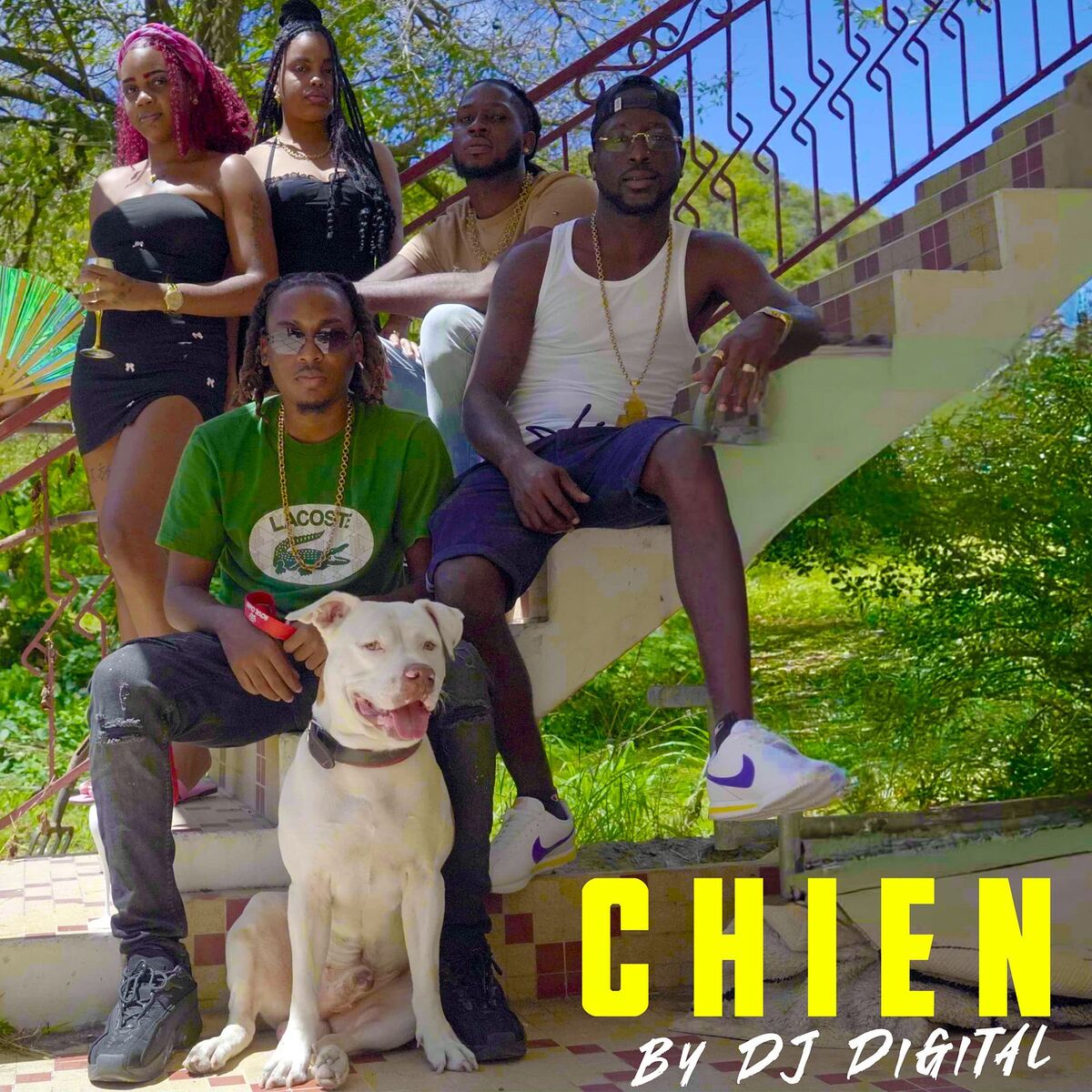 Album cover of chien