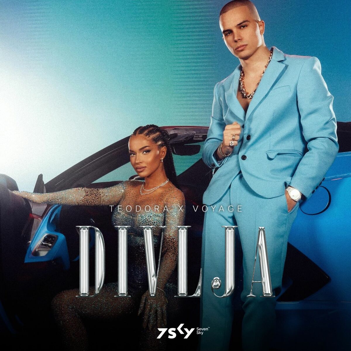 Album cover of Divlja
