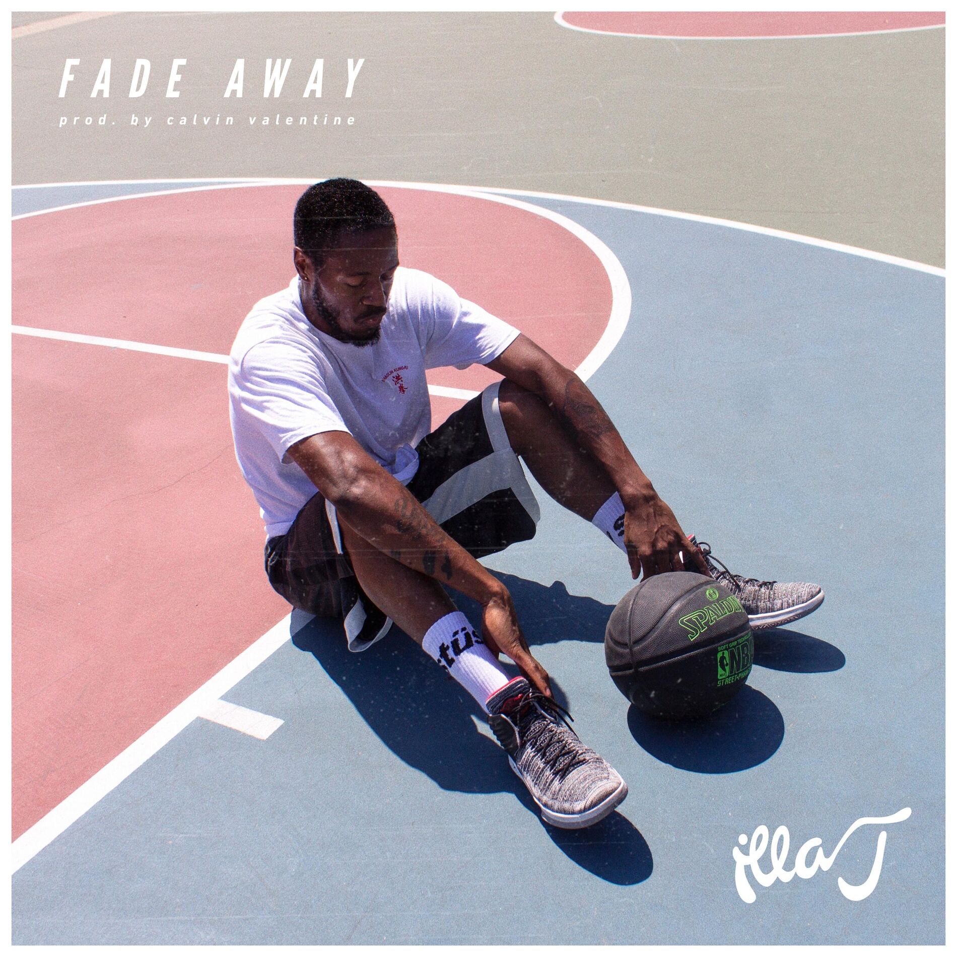 Album cover of Fade Away