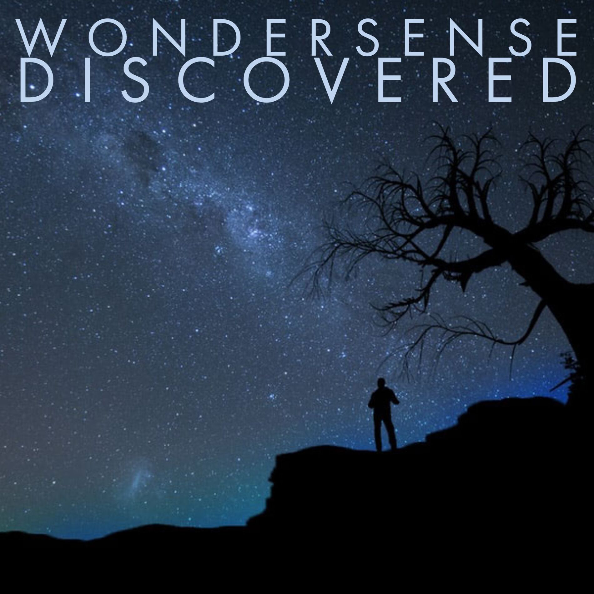 Album cover of Wondersense Discovered
