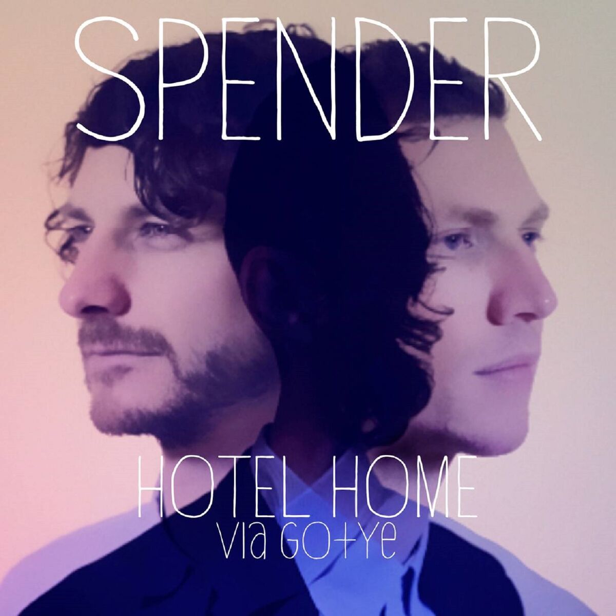 Album cover of Hotel Home