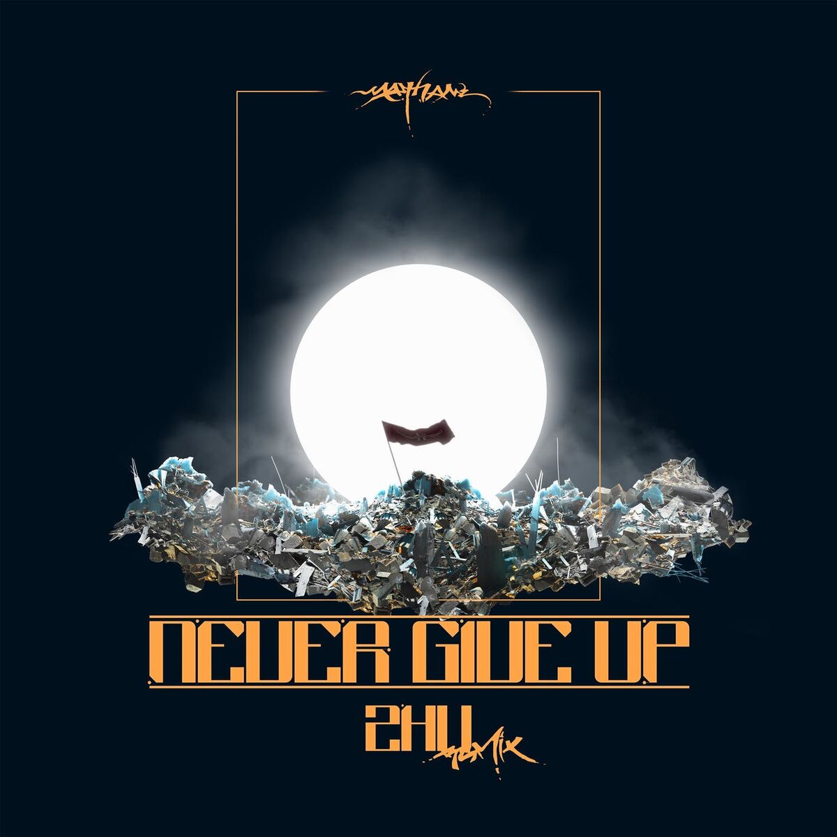 Album cover of Never Give Up