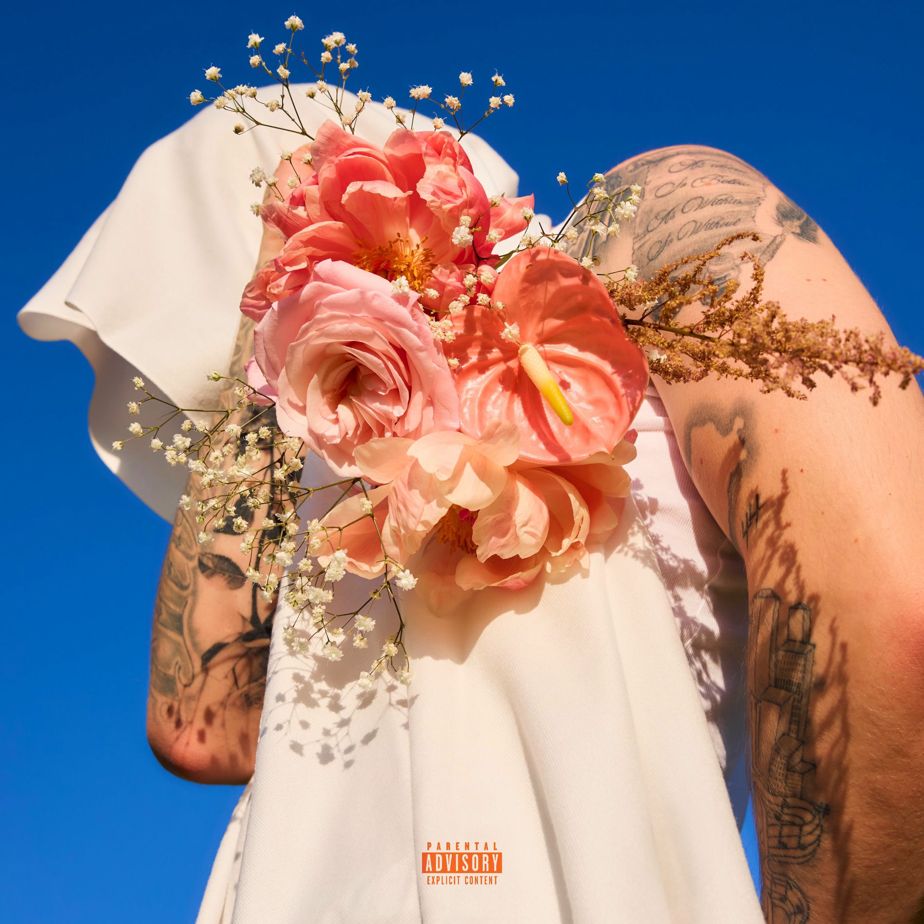 Album cover of Euphoria