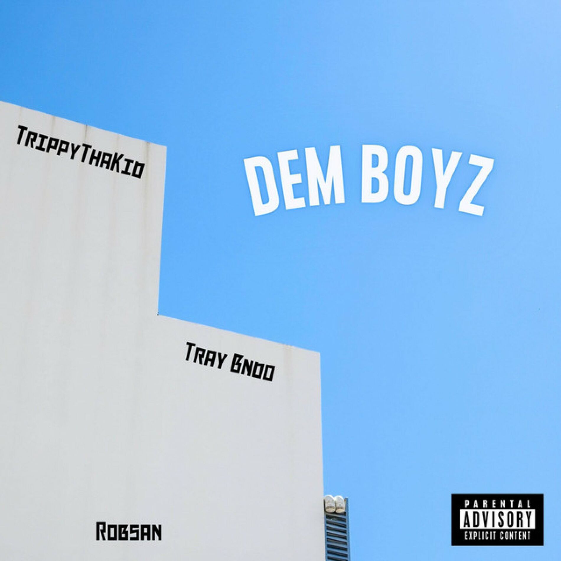 Album cover of Dem Boyz