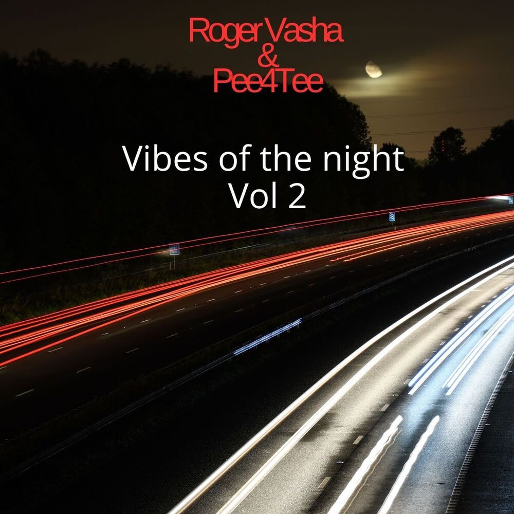 Picture of Vibes of the night (Vol.2)
