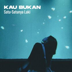 Cover of Kau Bukan Satu-Satunya Laki
