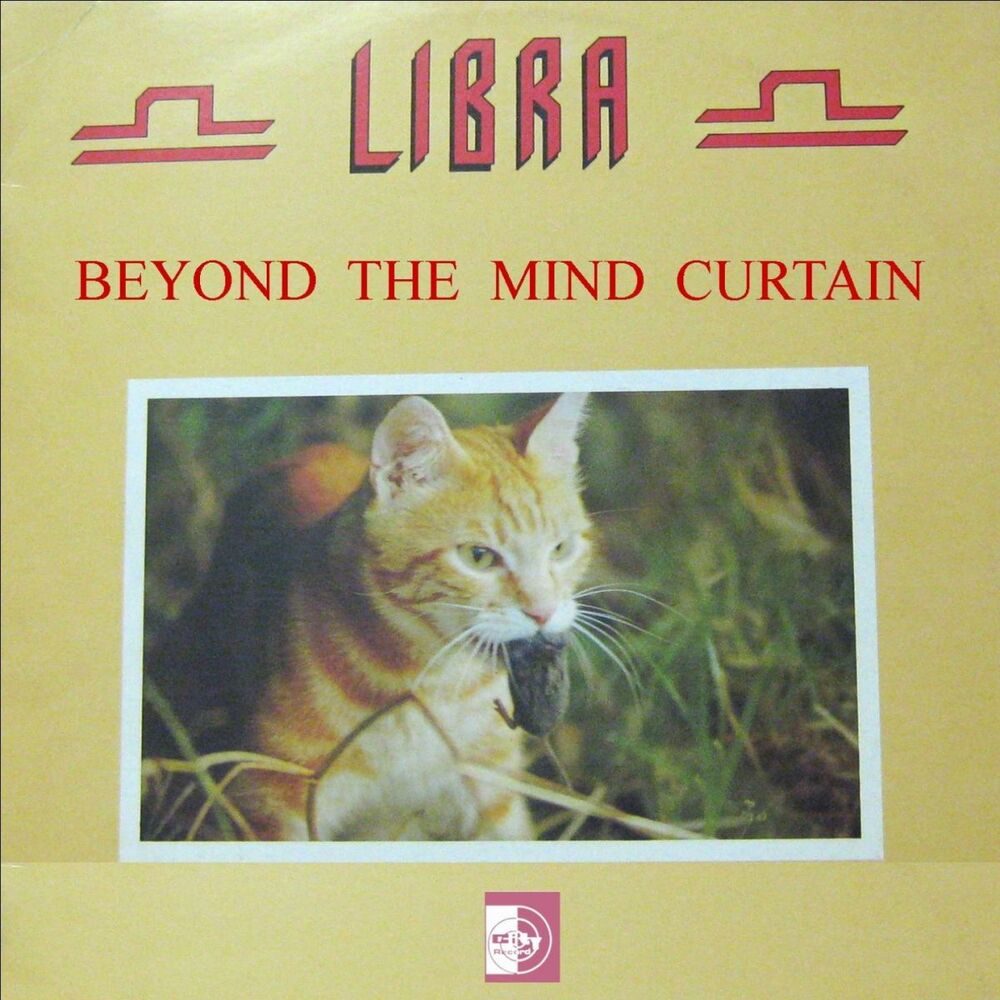 Picture of Beyond the Mind Curtain