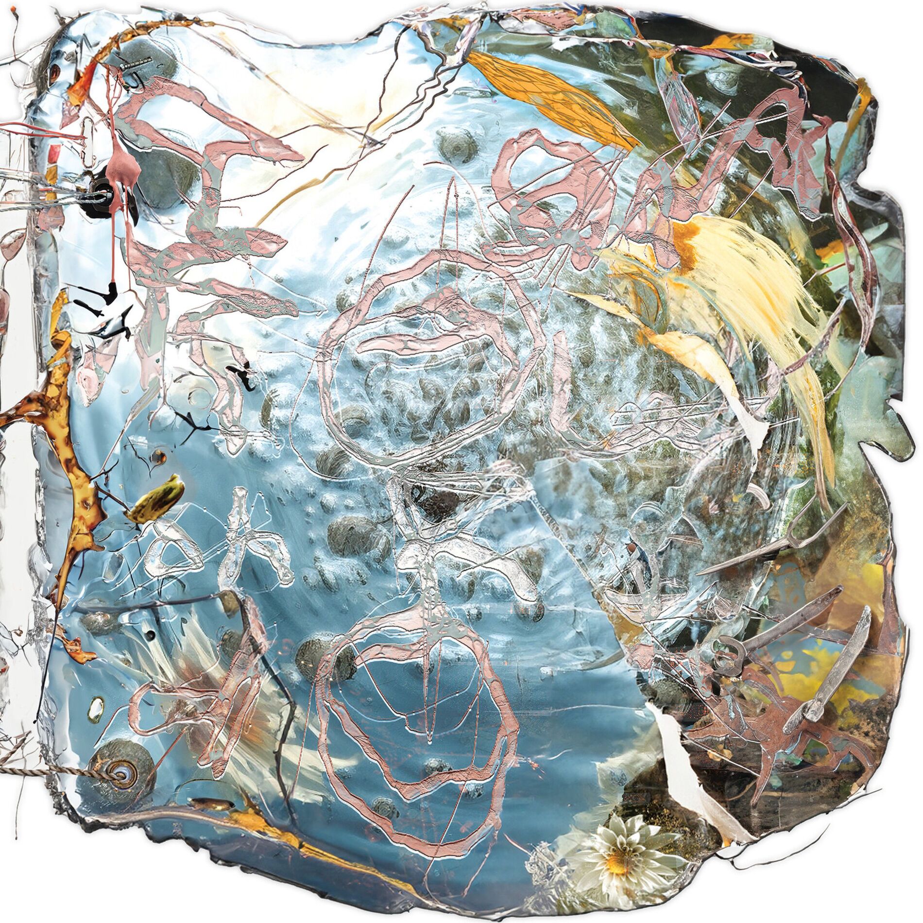 Album cover of I Am Toward You