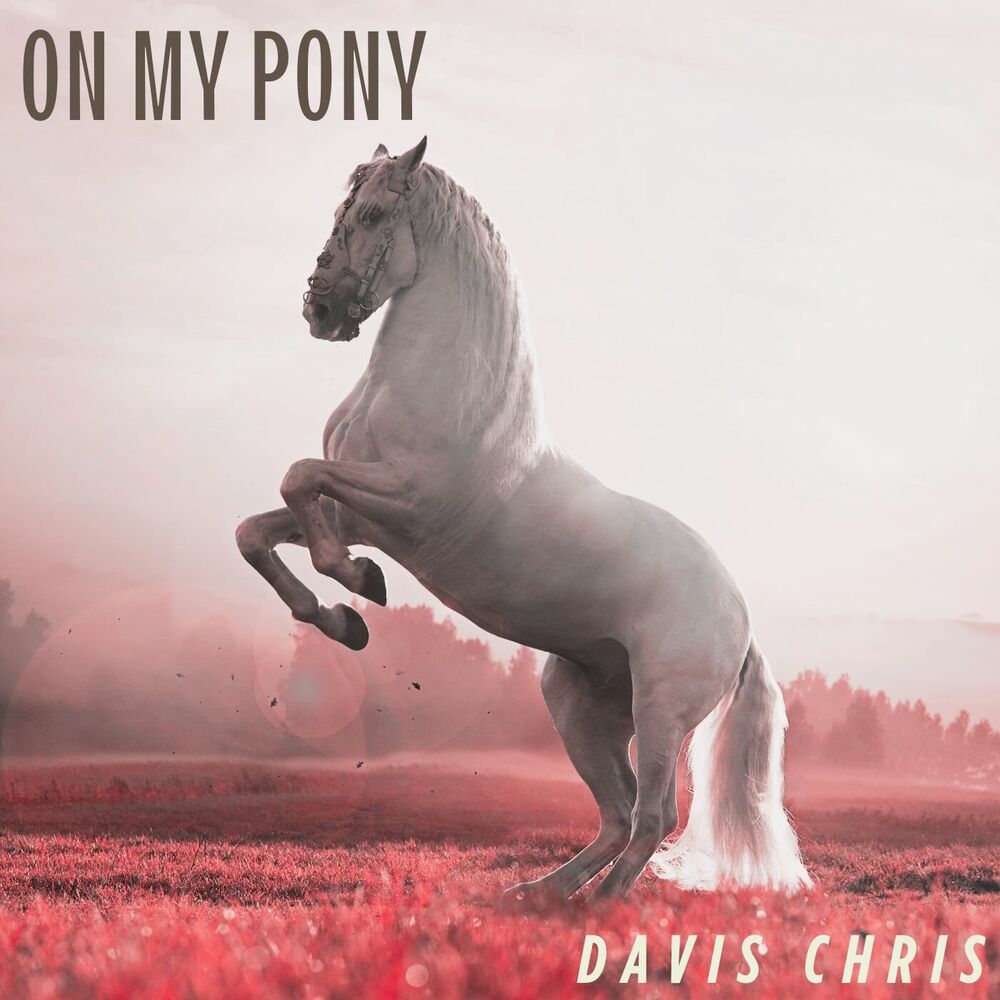Picture of On My Pony