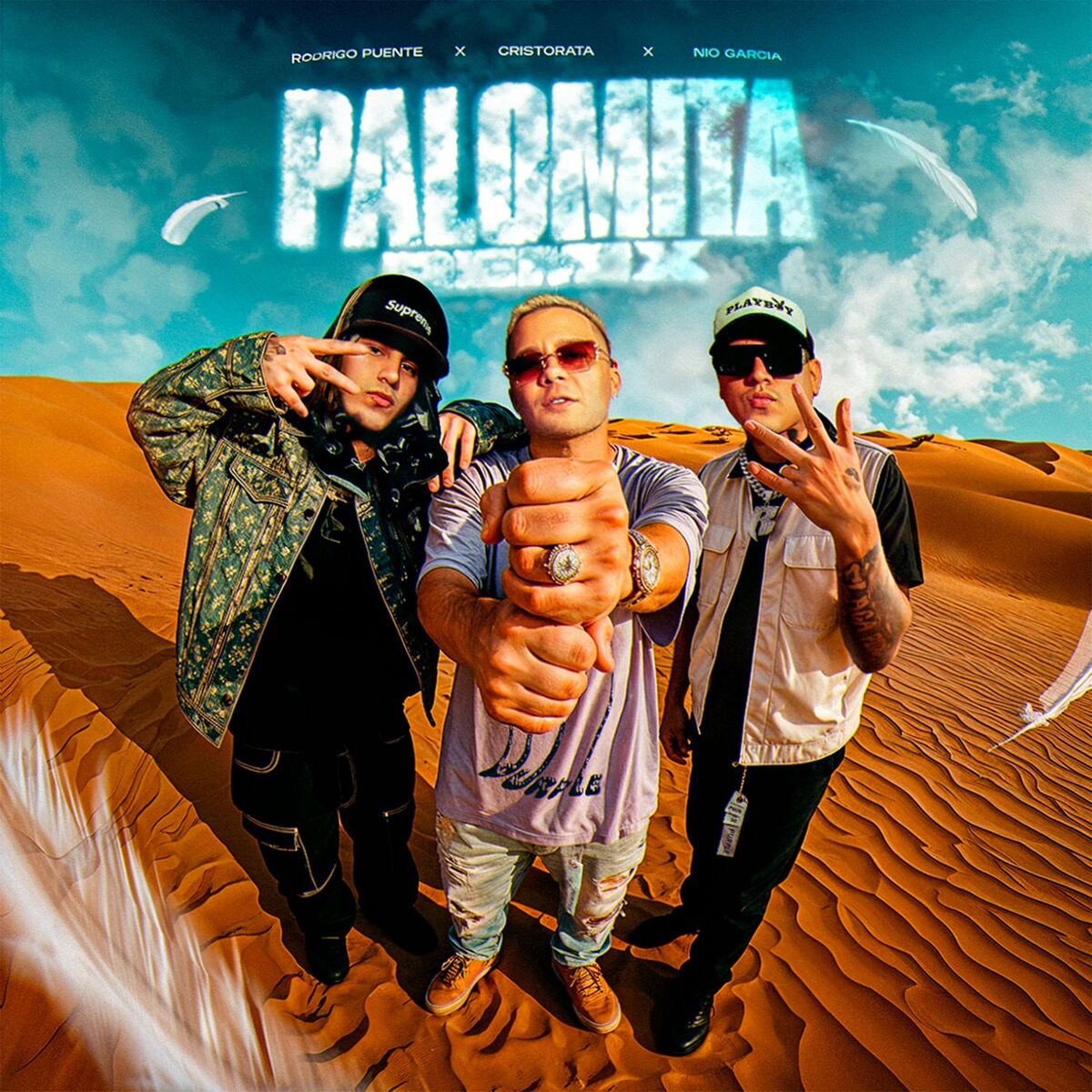 Album cover of Palomita (Remix)