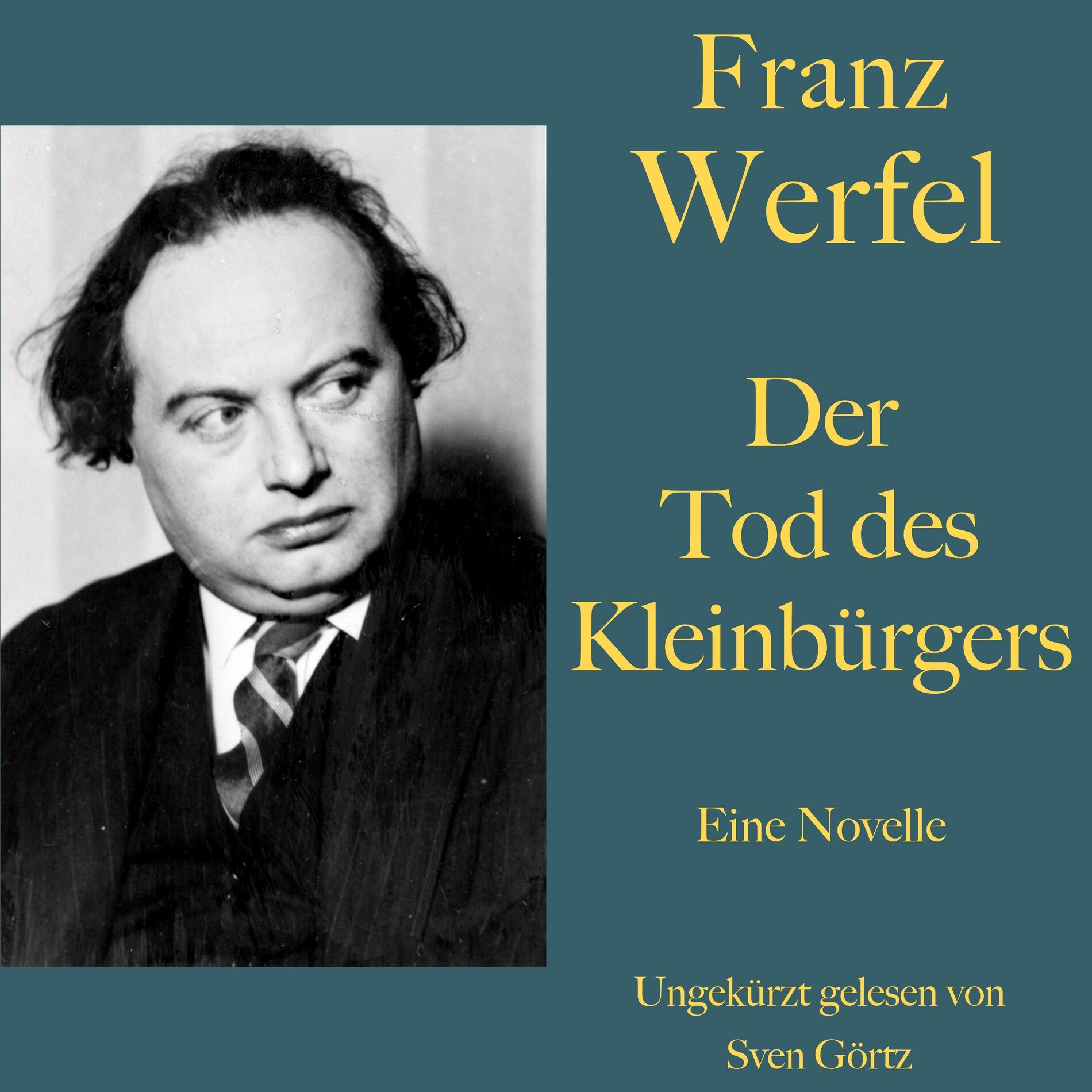 Album cover of Franz Werfel: Der Tod des Kleinbürgers (Eine Novelle. Ungekürzt gelesen)