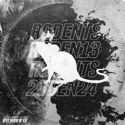 Cover of R 13