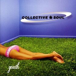 Cover of Youth