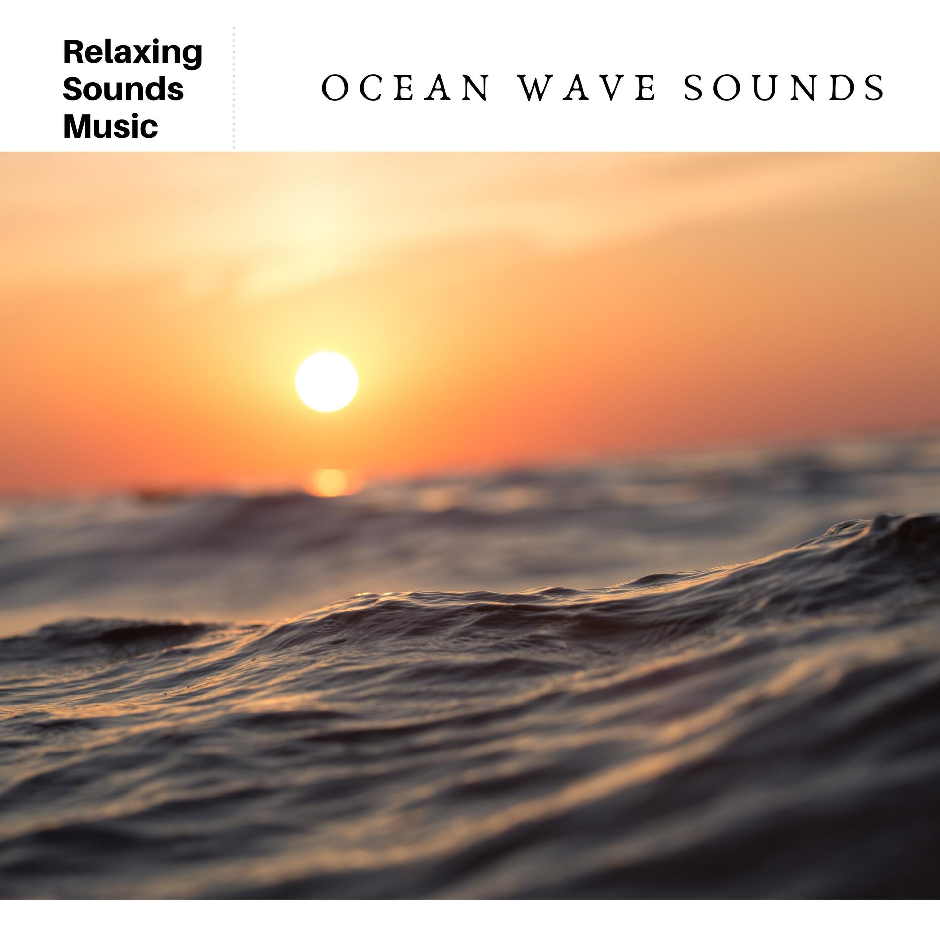 Album cover of Wave of the Day