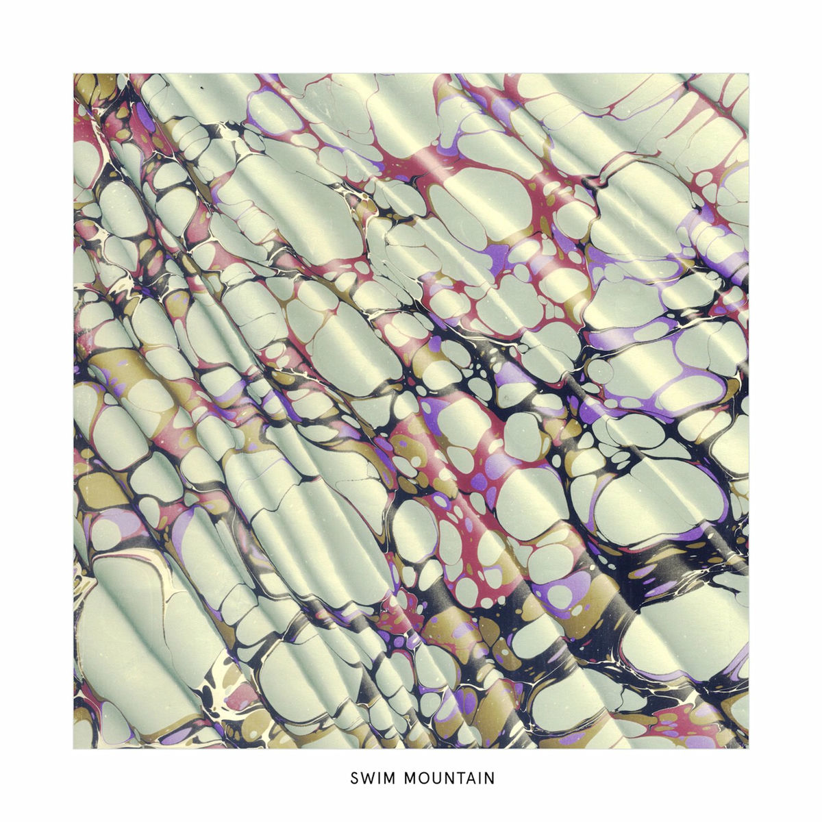 Album cover of Swim Mountain