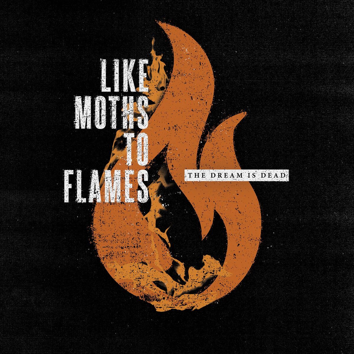 Album cover of Bury Your Pain