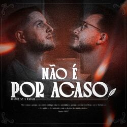 Cover of Não é Por Acaso