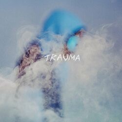 Cover of Trauma