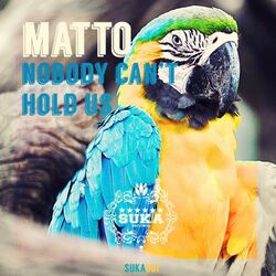 Cover of Nobody Can't Hold Us