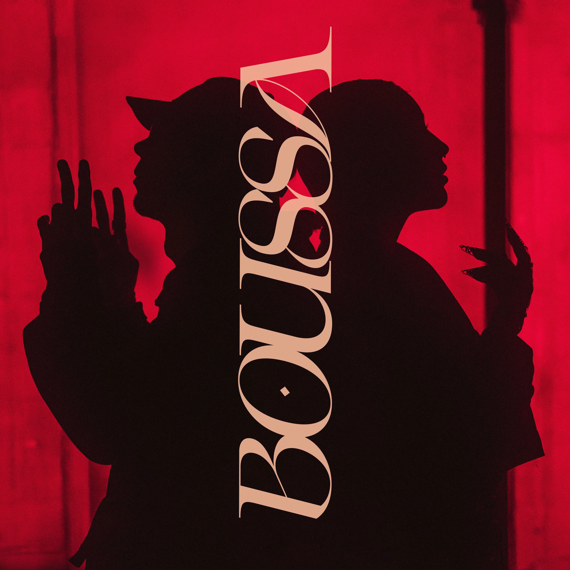 Album cover of Boussa
